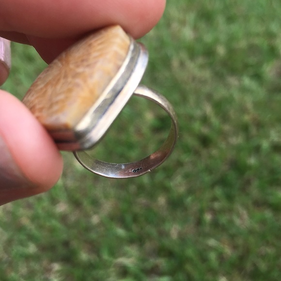 Coral Fossil Ring - Picture 5 of 6